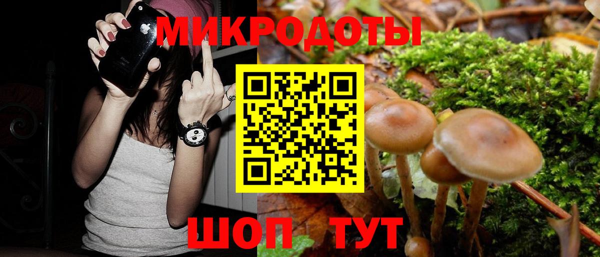 Балашов  Галлюциногенные грибы GOLDEN TEACHER  Вход с VPN 